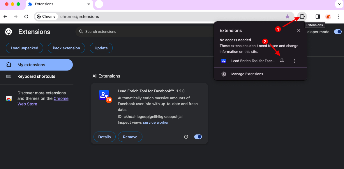 Facebook Lead Enrichment chrome extension install pin